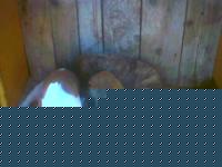 Click image for larger version

Name:	07.jpg
Views:	117
Size:	17.0 KB
ID:	15847362