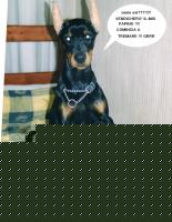 Click image for larger version

Name:	Cleo.JPG
Views:	184
Size:	175.3 KB
ID:	15847408