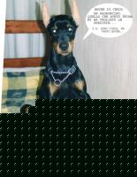 Click image for larger version

Name:	Cleo copy.jpg
Views:	242
Size:	119.7 KB
ID:	15847411