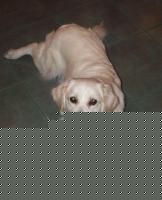 Click image for larger version

Name:	ZAIRA1.JPG
Views:	100
Size:	93.7 KB
ID:	15847705