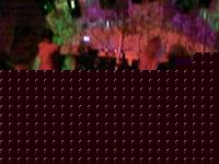 Click image for larger version

Name:	Foto(351).jpg
Views:	112
Size:	25.4 KB
ID:	15847926
