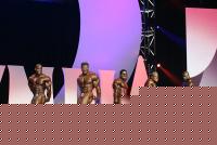 Click image for larger version

Name:	Mr.O 12.jpg
Views:	69
Size:	77.3 KB
ID:	15847991