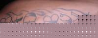Click image for larger version

Name:	DSCN0737.jpg
Views:	189
Size:	45.8 KB
ID:	15848130