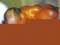 Click image for larger version

Name:	amico.jpg
Views:	521
Size:	89.1 KB
ID:	15848328