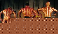 Click image for larger version

Name:	confronto Savi.jpg
Views:	397
Size:	117.5 KB
ID:	15850160