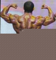 Click image for larger version

Name:	II class. cat. -- 95 kg..jpg
Views:	190
Size:	167.5 KB
ID:	15850515