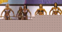 Click image for larger version

Name:	Confronti cat. FIGURE 1.jpg
Views:	130
Size:	88.5 KB
ID:	15850765