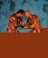 Click image for larger version

Name:	Papetti e Casavecchia 1.jpg
Views:	200
Size:	73.1 KB
ID:	15850792