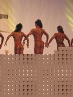 Click image for larger version

Name:	B 1.jpg
Views:	133
Size:	71.0 KB
ID:	15851102