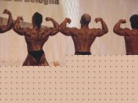Click image for larger version

Name:	CONF. 7.jpg
Views:	143
Size:	97.0 KB
ID:	15851378