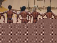 Click image for larger version

Name:	CONF. 18A.JPG
Views:	206
Size:	162.5 KB
ID:	15851541