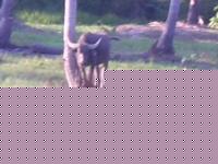 Click image for larger version

Name:	DSCN1901.jpg
Views:	107
Size:	34.1 KB
ID:	15852040