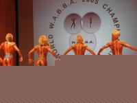 Click image for larger version

Name:	BACK.JPG
Views:	1586
Size:	123.6 KB
ID:	15852262