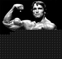 Click image for larger version

Name:	300px-Arnold-flexing.jpg
Views:	47
Size:	17.6 KB
ID:	15852266