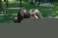 Click image for larger version

Name:	Paige-Lisa-079.jpg
Views:	92
Size:	129.9 KB
ID:	15852533