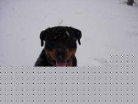 Click image for larger version

Name:	DSCN1477 web.jpg
Views:	150
Size:	28.4 KB
ID:	15853027