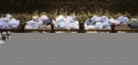 Click image for larger version

Name:	spazzatura.jpg
Views:	85
Size:	55.9 KB
ID:	15854411