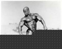 Click image for larger version

Name:	Shawn Ray-16.jpg
Views:	68
Size:	21.1 KB
ID:	15854561
