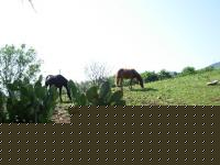 Click image for larger version

Name:	DSCN0202 Visualizzazione Web - Media.jpg
Views:	43
Size:	64.7 KB
ID:	15854772