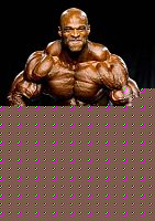 Click image for larger version

Name:	Ronnie Coleman.jpg
Views:	134
Size:	8.1 KB
ID:	15855217