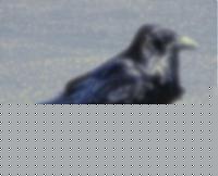 Click image for larger version

Name:	forme_e_colori_files_colori.jpg
Views:	235
Size:	25.5 KB
ID:	15855387