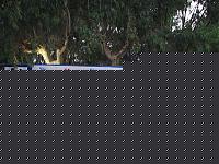 Click image for larger version

Name:	PALCO.jpg
Views:	786
Size:	145.8 KB
ID:	15855474