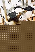 Click image for larger version

Name:	scimmia_vivisezione.jpg
Views:	46
Size:	15.1 KB
ID:	15855792