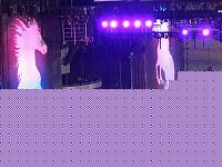 Click image for larger version

Name:	madonna.jpg
Views:	201
Size:	85.6 KB
ID:	15855830