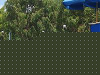 Click image for larger version

Name:	spiaggia I Gill Regie.jpg
Views:	361
Size:	166.0 KB
ID:	15856306
