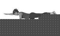 Click image for larger version

Name:	birddog.jpg
Views:	56
Size:	3.4 KB
ID:	15856364