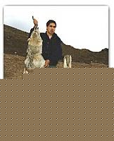Click image for larger version

Name:	kangal23.jpg
Views:	490
Size:	46.0 KB
ID:	15856442