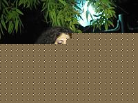 Click image for larger version

Name:	Giuria Samantha1.jpg
Views:	280
Size:	56.2 KB
ID:	15858428