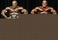 Click image for larger version

Name:	12.jpg
Views:	13940
Size:	84.2 KB
ID:	15858722