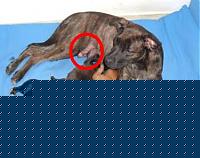 Click image for larger version

Name:	kurt.jpg
Views:	2314
Size:	29.9 KB
ID:	15858941