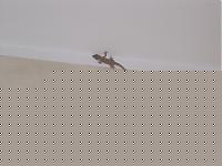 Click image for larger version

Name:	ss.jpg
Views:	67
Size:	60.8 KB
ID:	15859002