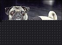 Click image for larger version

Name:	mib2.jpg
Views:	503
Size:	13.0 KB
ID:	15859075