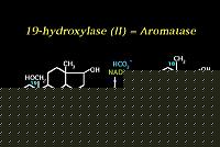 Click image for larger version

Name:	Aromatasi.jpg
Views:	313
Size:	21.9 KB
ID:	15859355