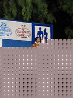 Click image for larger version

Name:	Cat.Miss V° Masillo Marianna G.jpg
Views:	194
Size:	58.3 KB
ID:	15859448