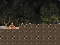 Click image for larger version

Name:	Cat.Miss.jpg
Views:	265
Size:	115.0 KB
ID:	15859545