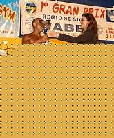 Click image for larger version

Name:	I°Hp Assoluto (10).JPG
Views:	87
Size:	61.1 KB
ID:	15859729