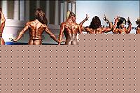 Click image for larger version

Name:	WABBAwrldF06_3162.jpg
Views:	177
Size:	48.9 KB
ID:	15860551