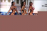 Click image for larger version

Name:	WABBAwrldF06_2953.jpg
Views:	135
Size:	46.5 KB
ID:	15860618