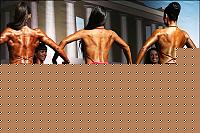 Click image for larger version

Name:	WABBAwrld06_0258.jpg
Views:	94
Size:	44.9 KB
ID:	15860642