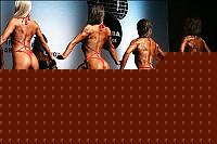 Click image for larger version

Name:	WABBAwrld06_0261.jpg
Views:	89
Size:	43.7 KB
ID:	15860644
