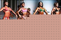 Click image for larger version

Name:	WABBAwrld06_0270.jpg
Views:	89
Size:	52.2 KB
ID:	15860646