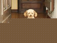 Click image for larger version

Name:	arromanches-fido.JPG
Views:	386
Size:	46.5 KB
ID:	15860775