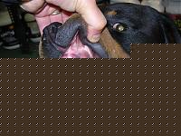 Click image for larger version

Name:	DSCN1865.JPG
Views:	455
Size:	7.5 KB
ID:	15860804