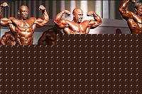 Click image for larger version

Name:	WABBAwrldF06_3366.jpg
Views:	132
Size:	46.1 KB
ID:	15860912