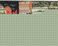 Click image for larger version

Name:	hjhj.jpg
Views:	97
Size:	126.9 KB
ID:	15860967