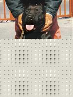 Click image for larger version

Name:	lastscan.jpg
Views:	128
Size:	80.4 KB
ID:	15860970